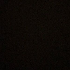 Meet your Posher, Charleigh